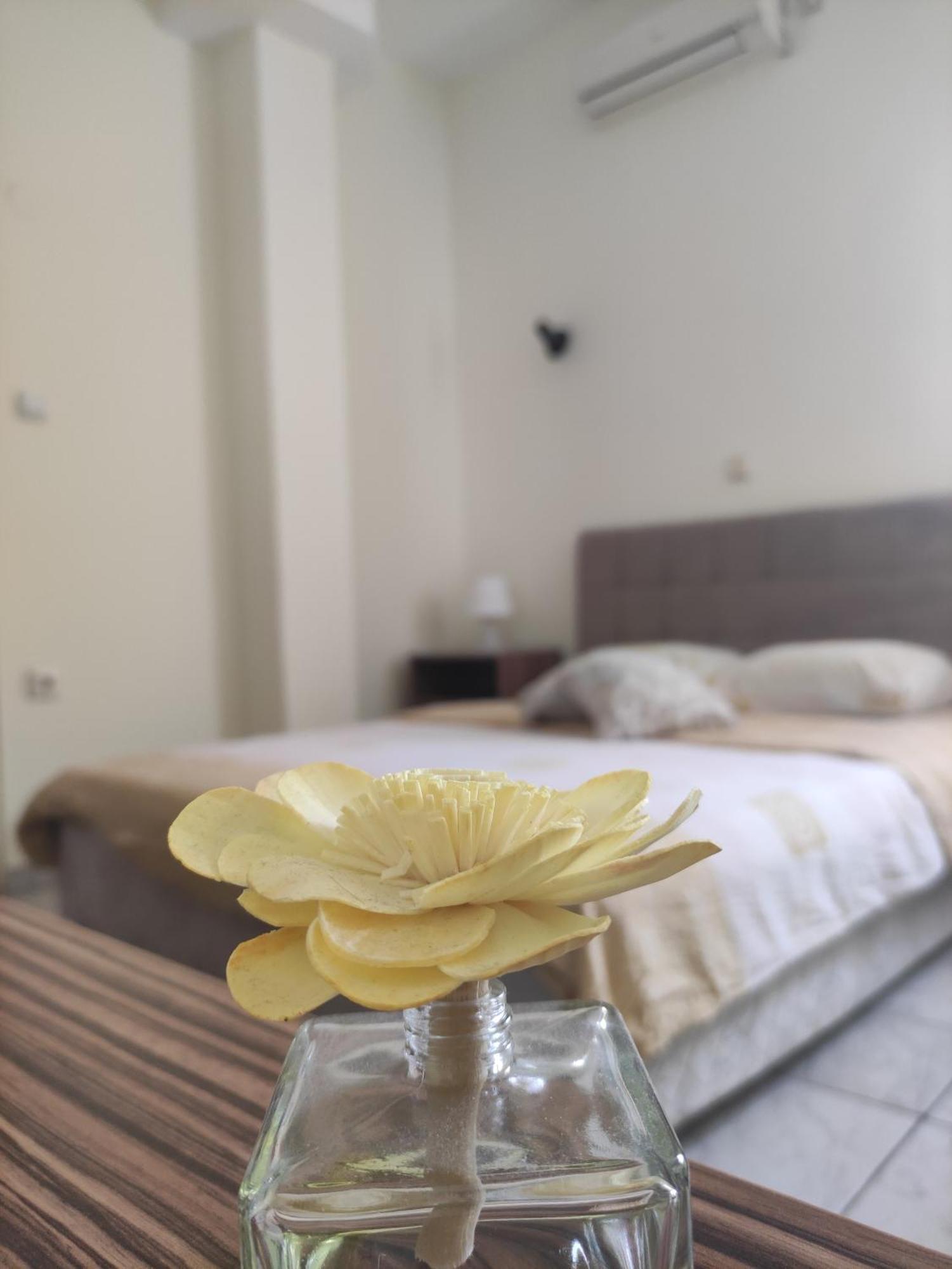 B&B Bebinac Leskovac  Dış mekan fotoğraf